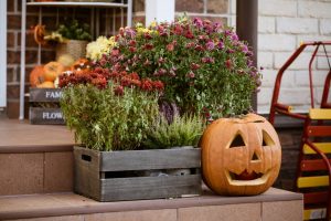 halloween pumpkin and flowers